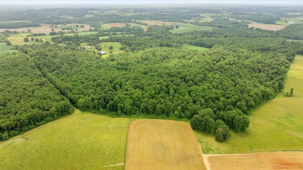 Large Image