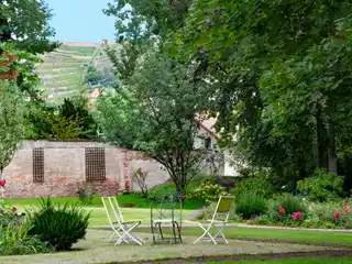 Renovated Circa 1870 Villa with Vineyard Views