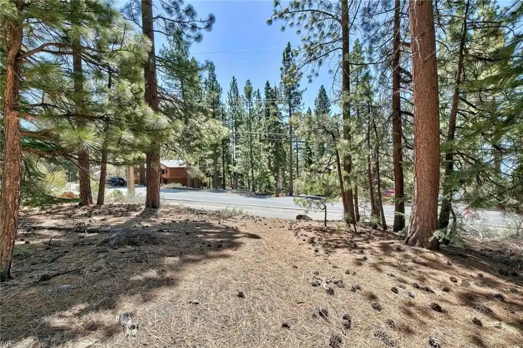 Build Your Dream Home in Incline Village