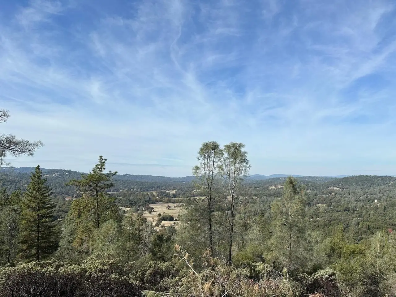 Large Image