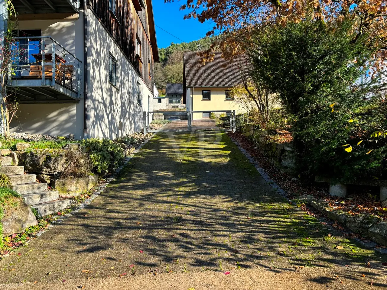 Large Image