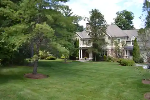 Timeless Elegance and Modern Luxury