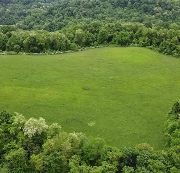 ONE VERY PRIVATE STATELY HOMESITE