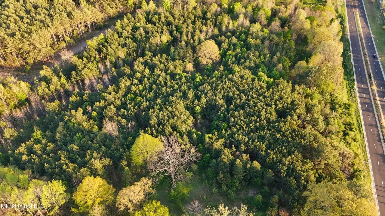 Large Image