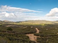 54 ACRE PARCEL AT THE PRESERVE