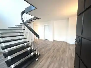 Extensively Renovated Home with Separate Apartment