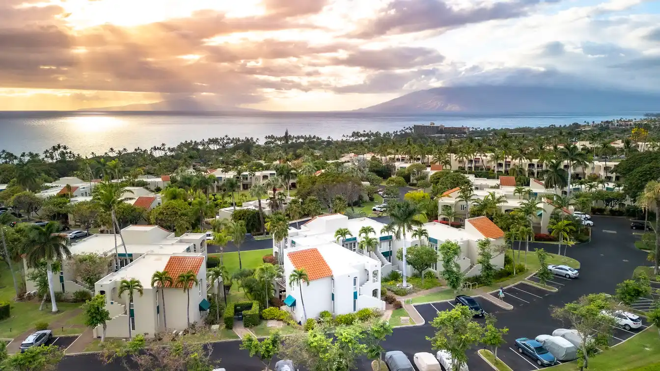 Tranquility on the Top Row of the Palms at Wailea