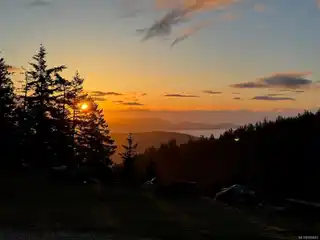 Extraordinary 155-Acre Forested Sanctuary