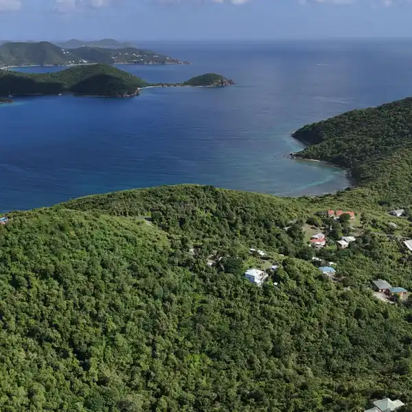 PRISTINE WOODED PROPERTY OVERLOOKING CORAL BAY HARBOR