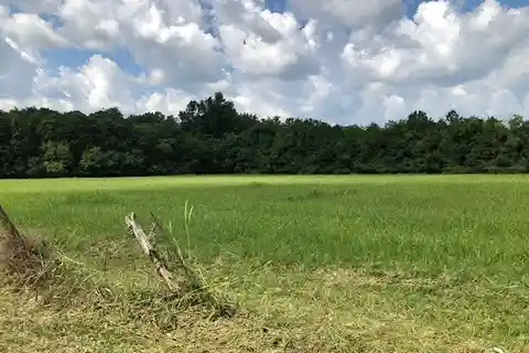 Gorgeous 3.57 Acres