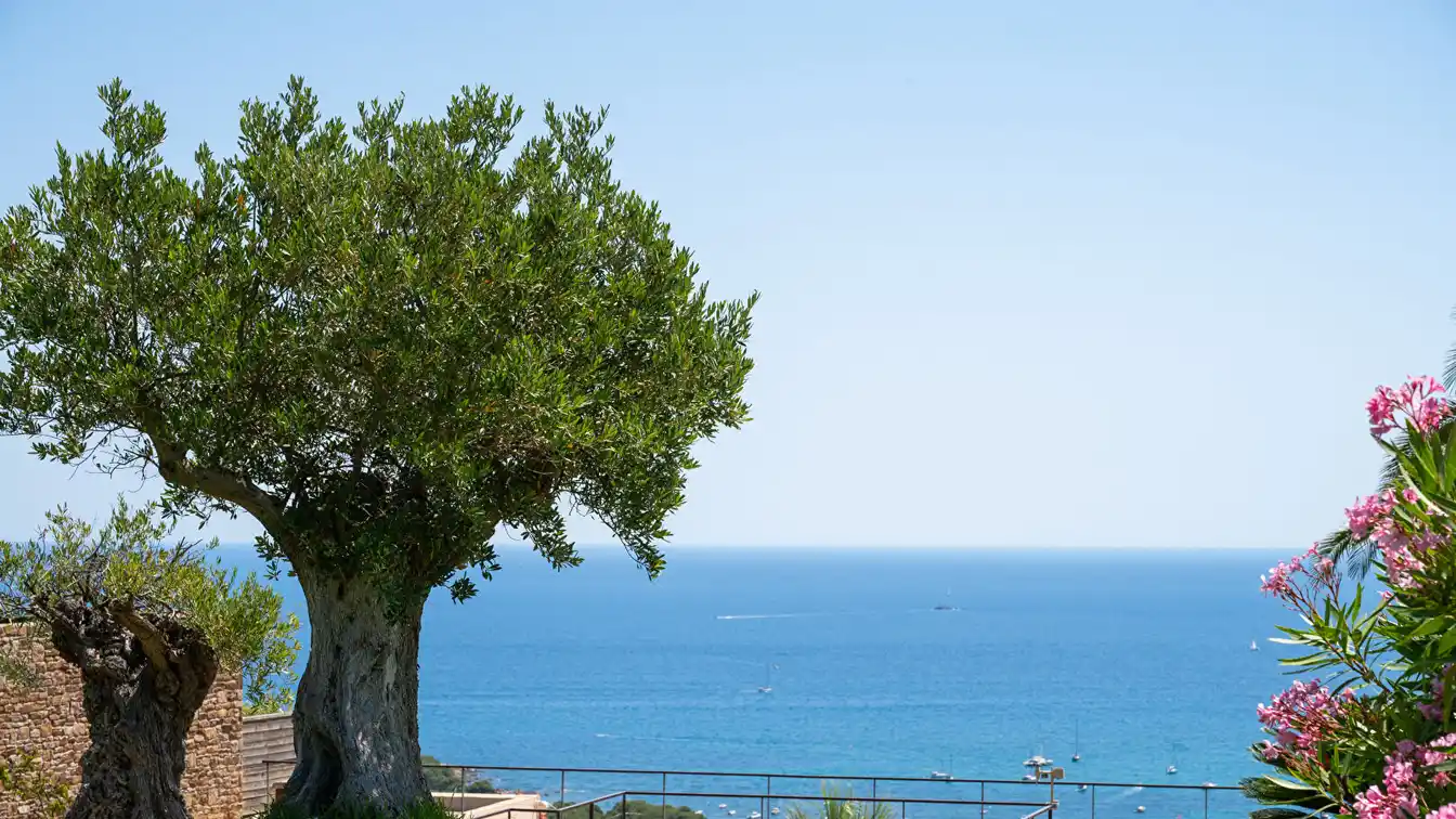 Exceptional Villa Facing the Sea