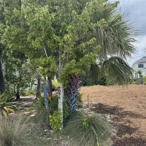 BUILD YOUR CUSTOM ESTATE HOME ON THE COVETED DAVIS ISLANDS