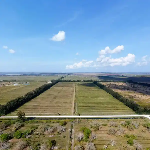 VERSATILE 86 ACRES IN PRIME LOCATION