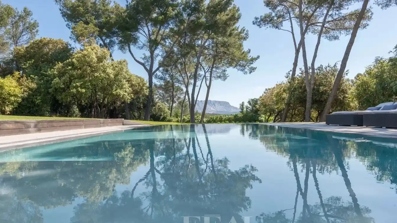 Luxury Contemporary Home in a Peaceful Setting