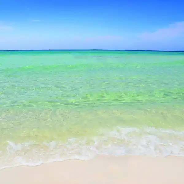 PARKSIDE AT THE HENDERSON BEACH RESORT