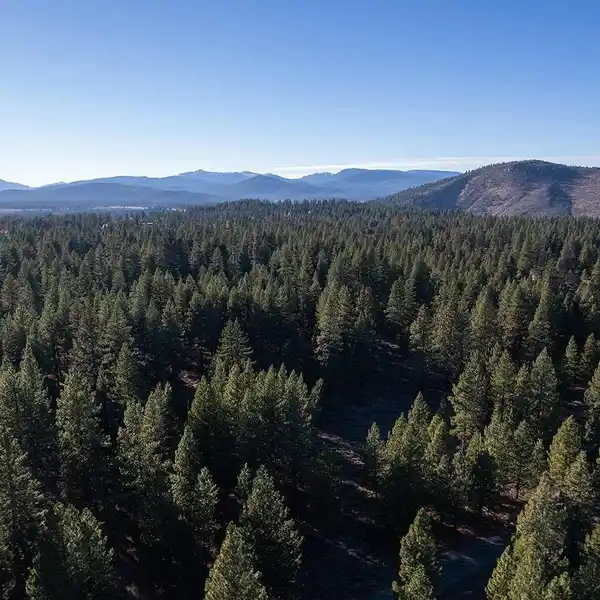 CREATE A PRIVATE SANCTUARY