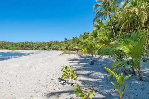 Malpaís Beachfront Lot with Private Bay