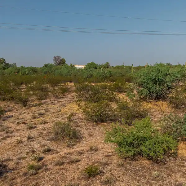 15 PRIVATE ACRES WITH DESIGNATED HOME BUILDING SITE