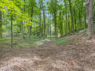 Nearly Two Acres in a Superb Location