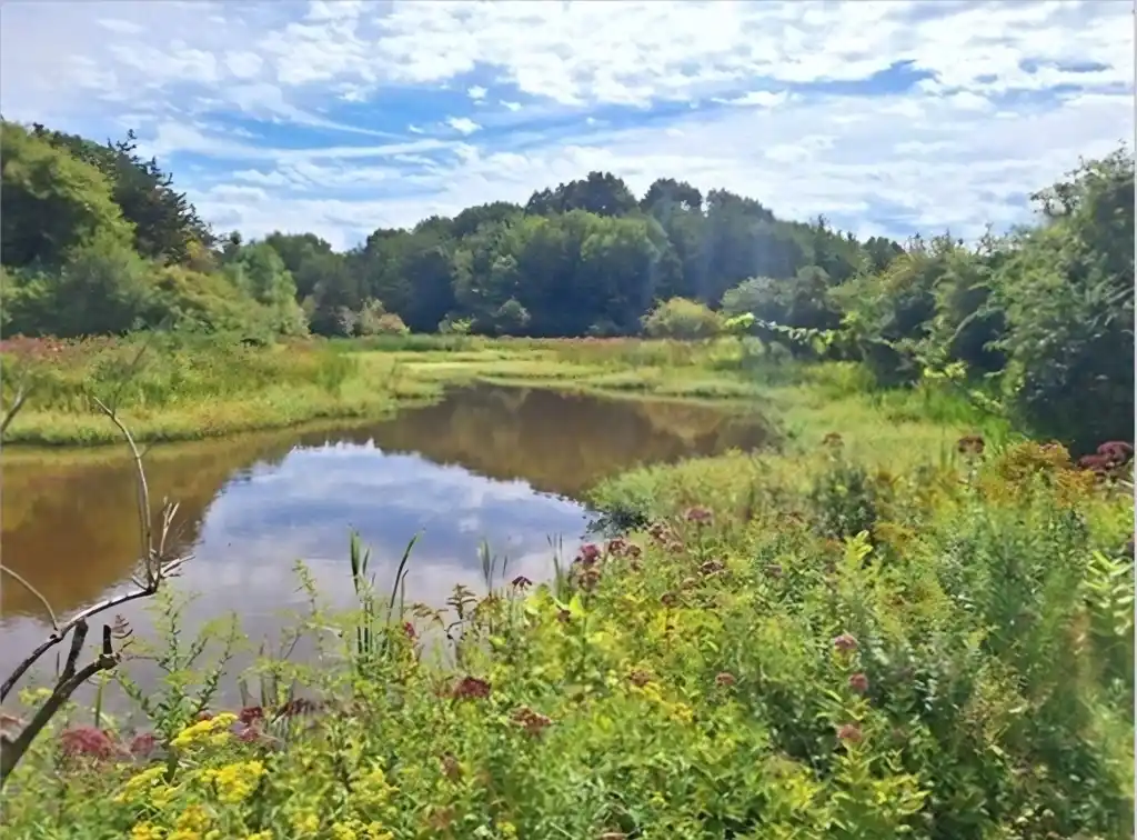 Picturesque 5.7-acre Lot Ready to Build Your Dream Home