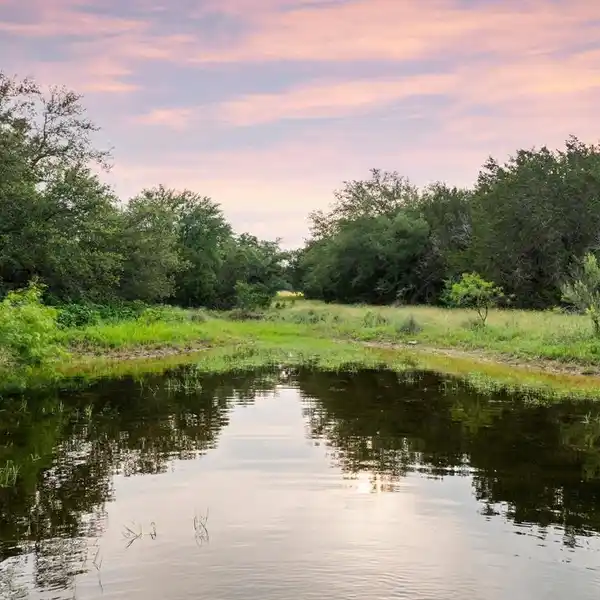 50 ACRES AT MULESHOE BEND