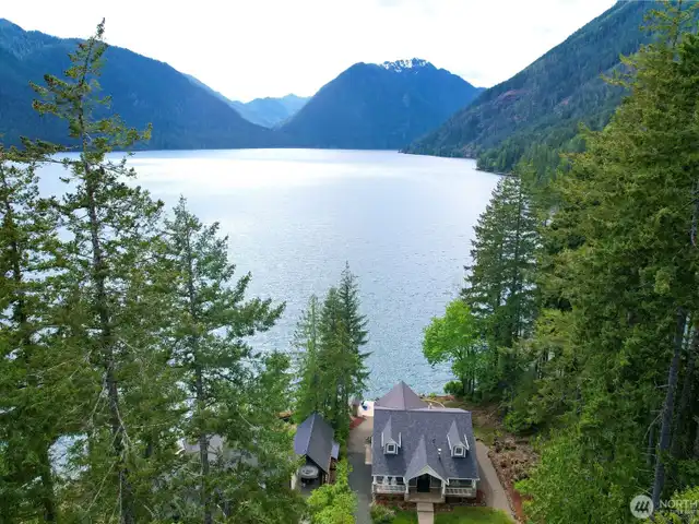 Large Image