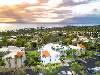 Tranquility on the Top Row of the Palms at Wailea