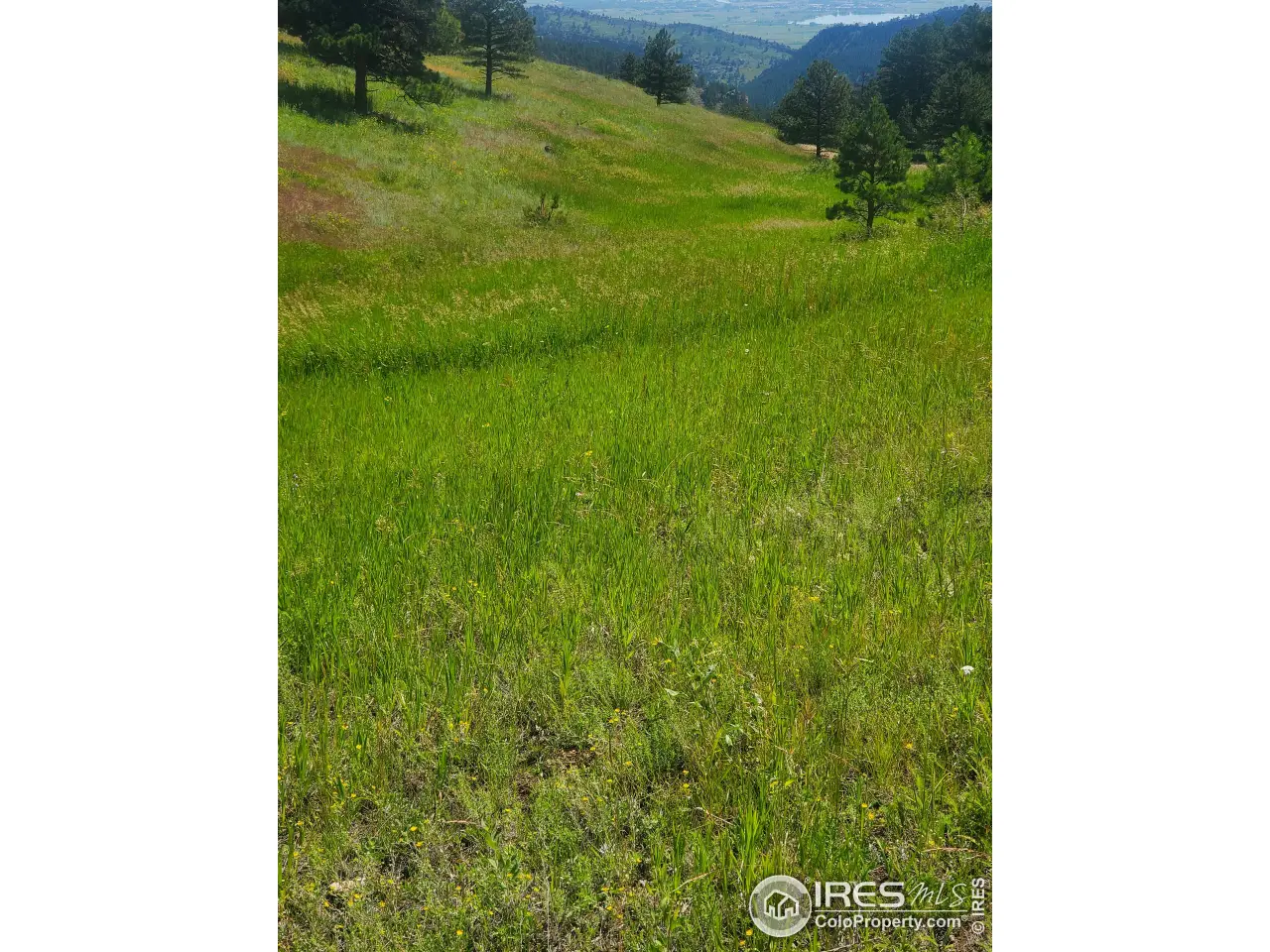 Small Image