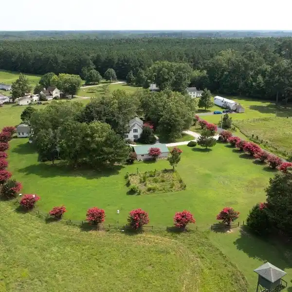 MESSONGO FARM