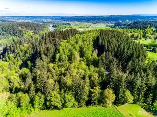 Majestic and Secluded Wooded Acreage