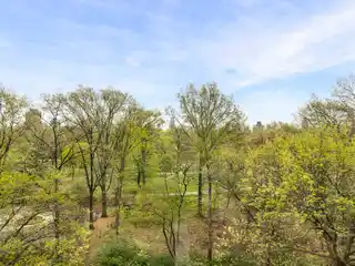 Aristocratic Pre-war Eight-room Home with Park Views