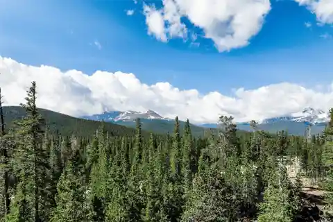 Nine Acre Homestead Within a Prestigious Gated Community