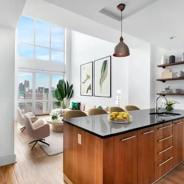 WILLIAMSBURG PENTHOUSE ON THE PARK