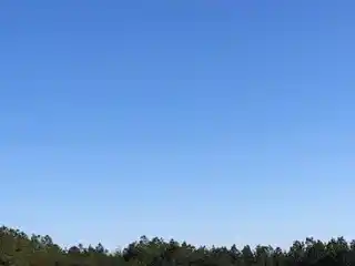 Create Your Private Paradise