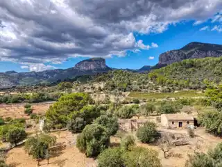 Expansive Property Offering Unique Possibilities