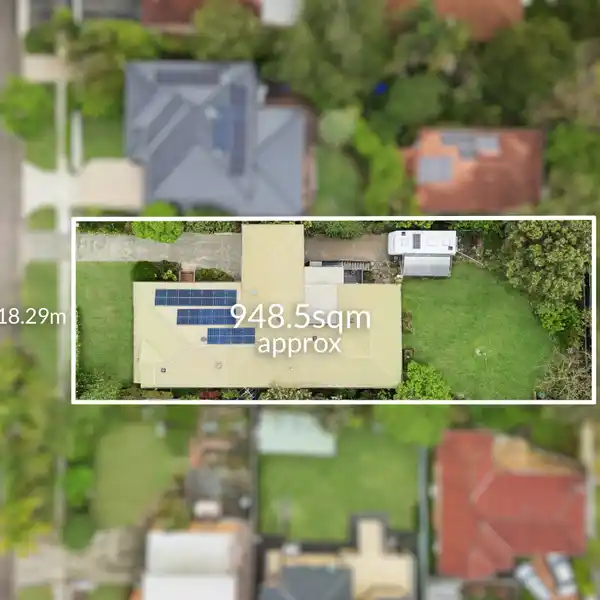 PREMIER FAMILY DELIGHT