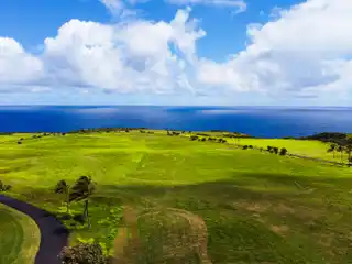 The Crown Jewel of Pe’ahi Farms