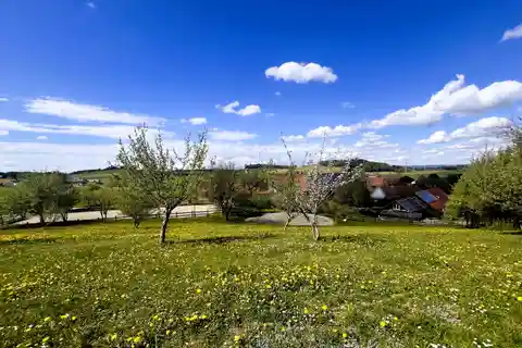 Expansive Equestrian Property