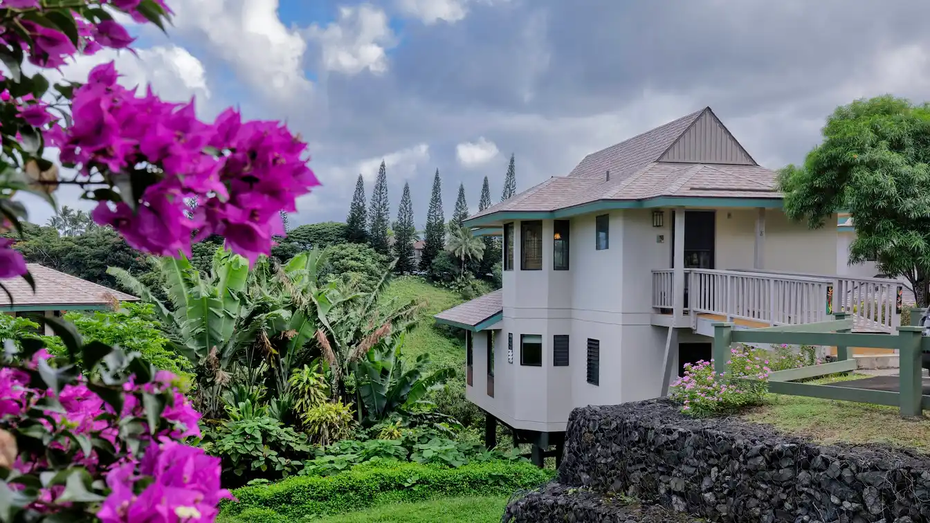 Modern Elegance Amid Natural Beauty