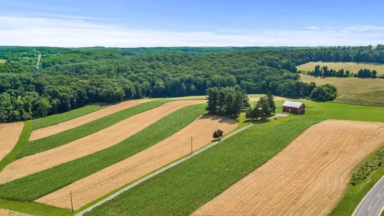 Farm