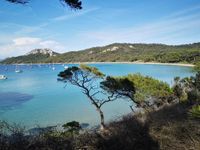 IN THE HEART OF THE PORQUEROLLES ISLAND