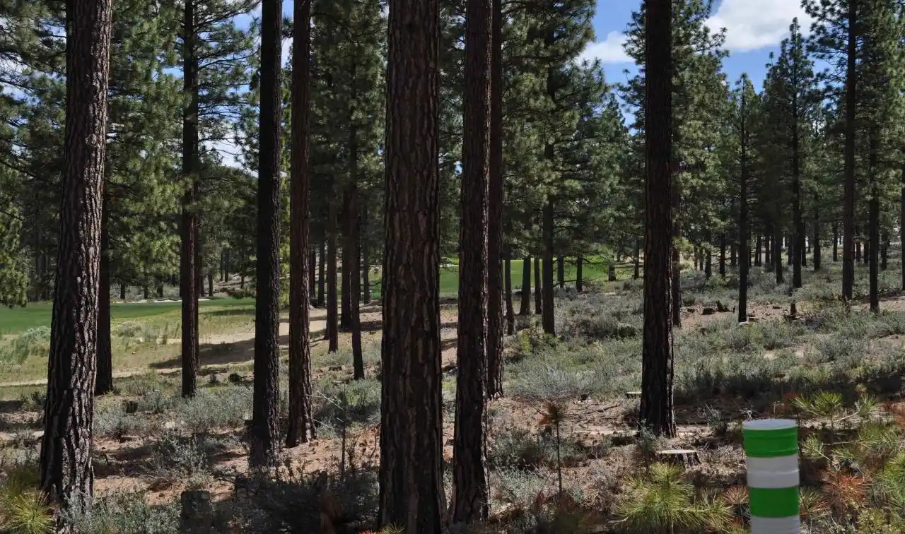 Homesite in the Most Exciting New Mountain Community