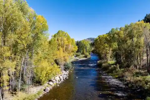 The River House