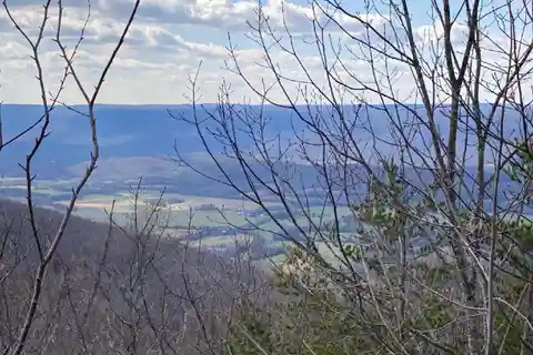 Incredible 10.8-acre Property