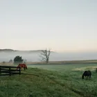 Ranch