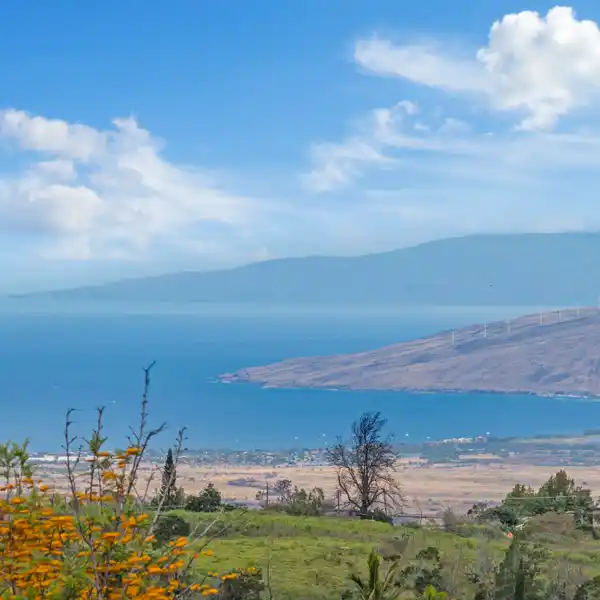 ELEGANT LIVING WITH EPIC VIEWS