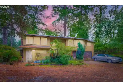 Great Potential on over an Acre