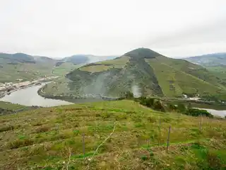 Distinctive Riverfront Wine Estate