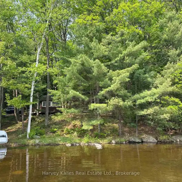 82 ACRE LAKEFRONT PROPERTY WITH ENDLESS POSSIBILITIES
