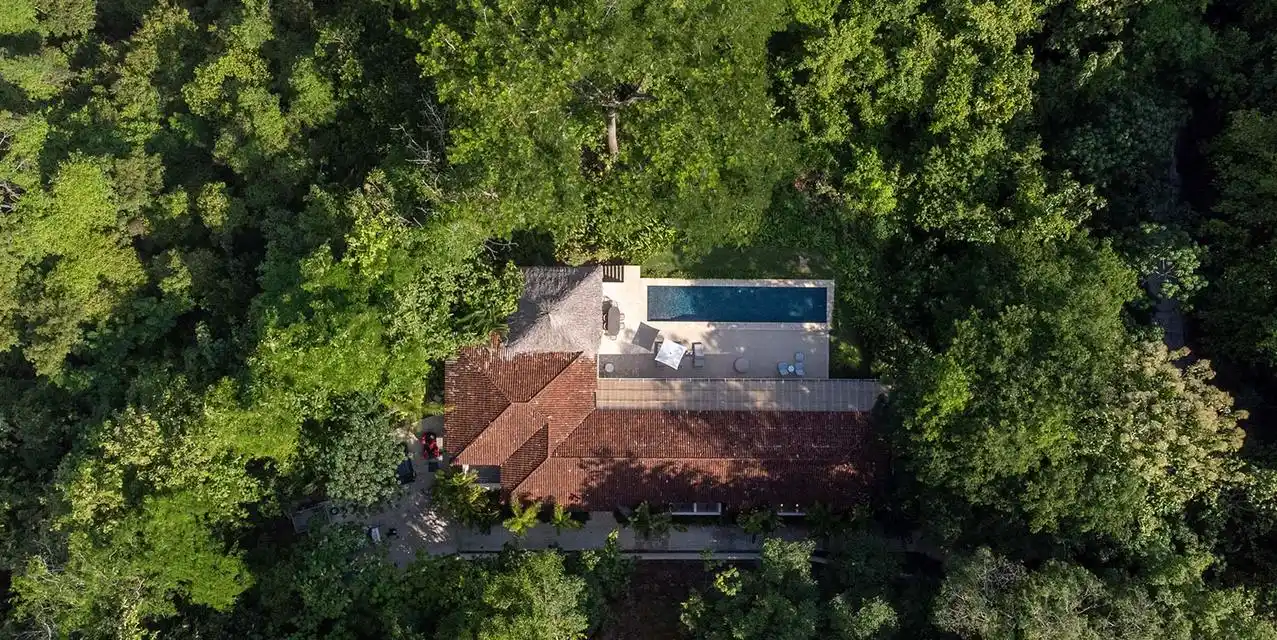 Serene Coastal Living in Lush Rainforest